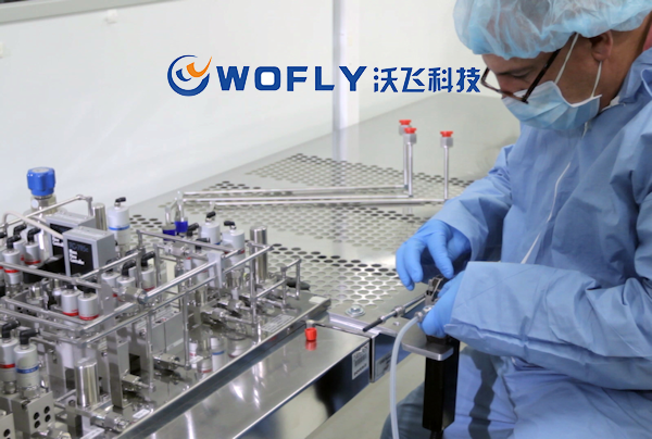 特气管道组件安装